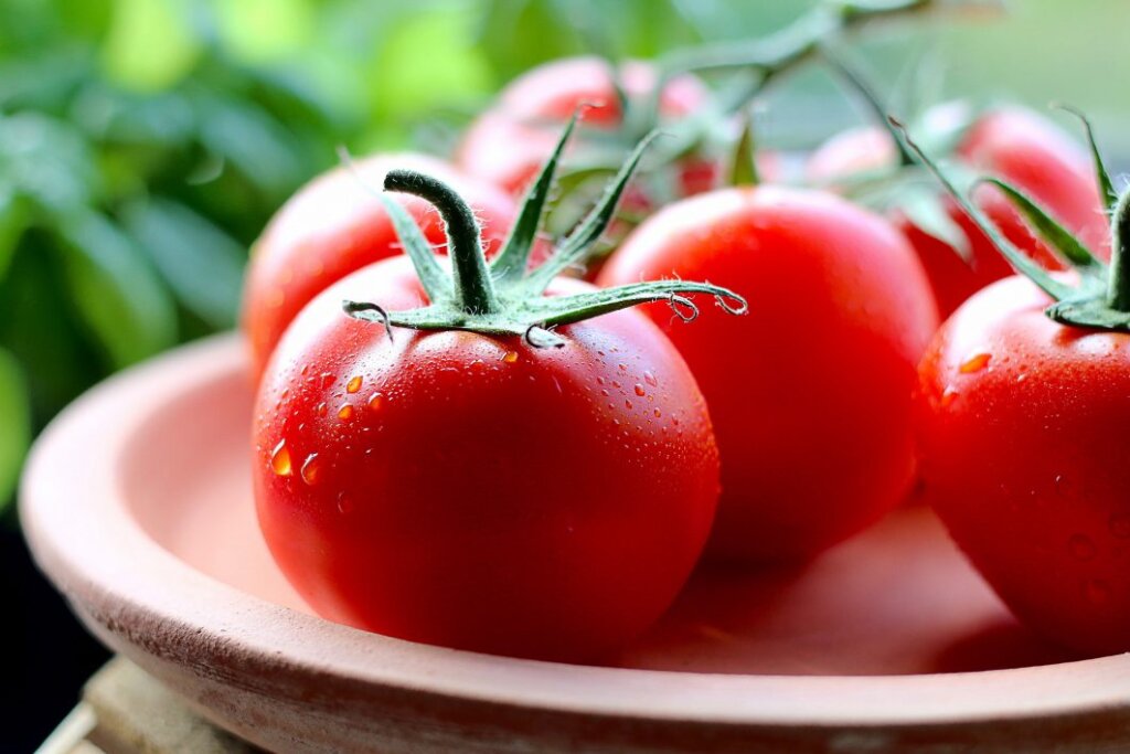 negative-space-fresh-tomatoes