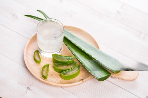 Aloe vera