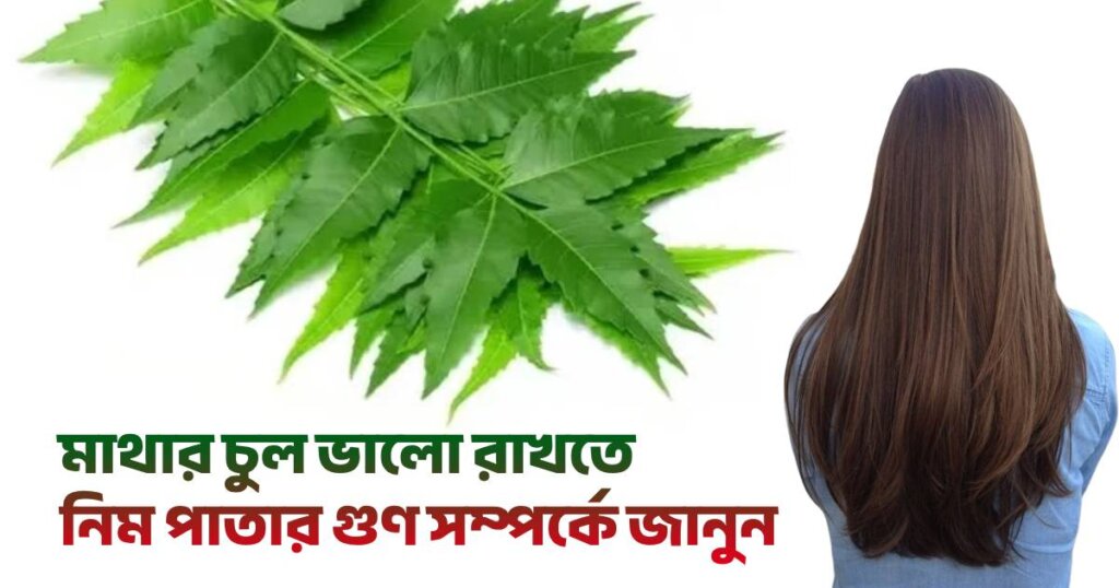 Benefits-of-neem-leaf-for-hair