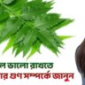 Benefits-of-neem-leaf-for-hair