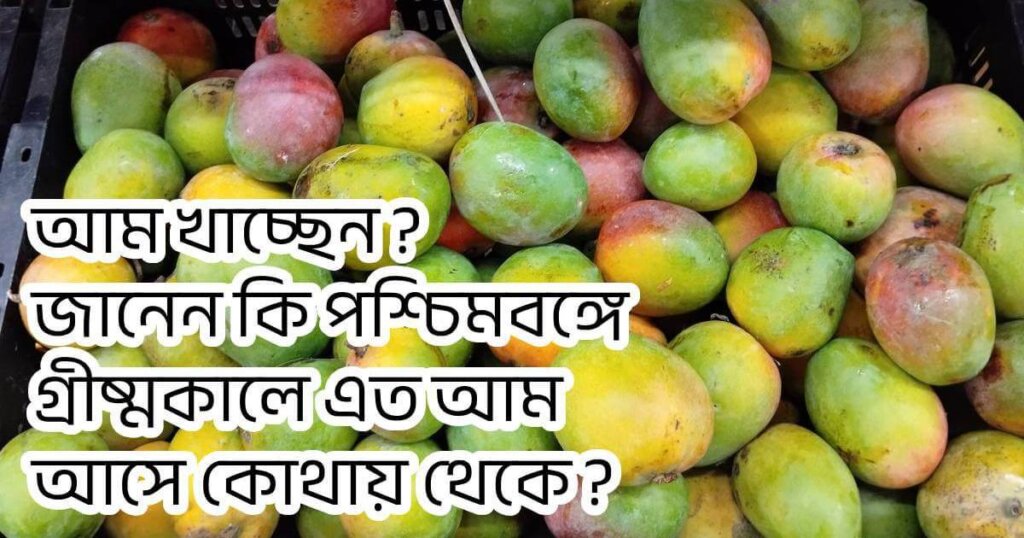 Malda mango