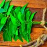 Neem leaf benefits