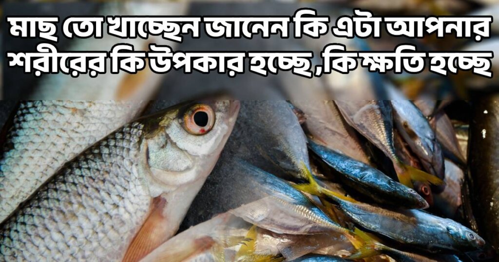 Benefit of fish