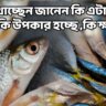 Benefit of fish