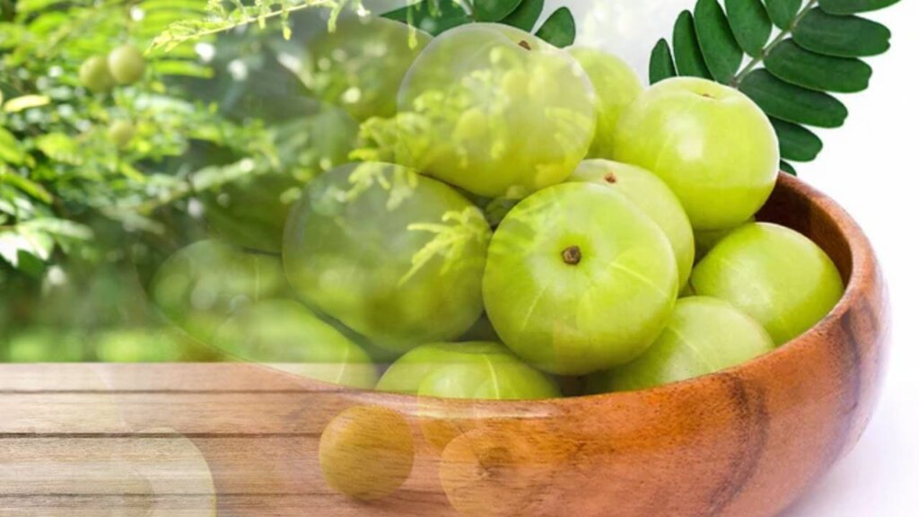 Top benefits of amla for growing hair,